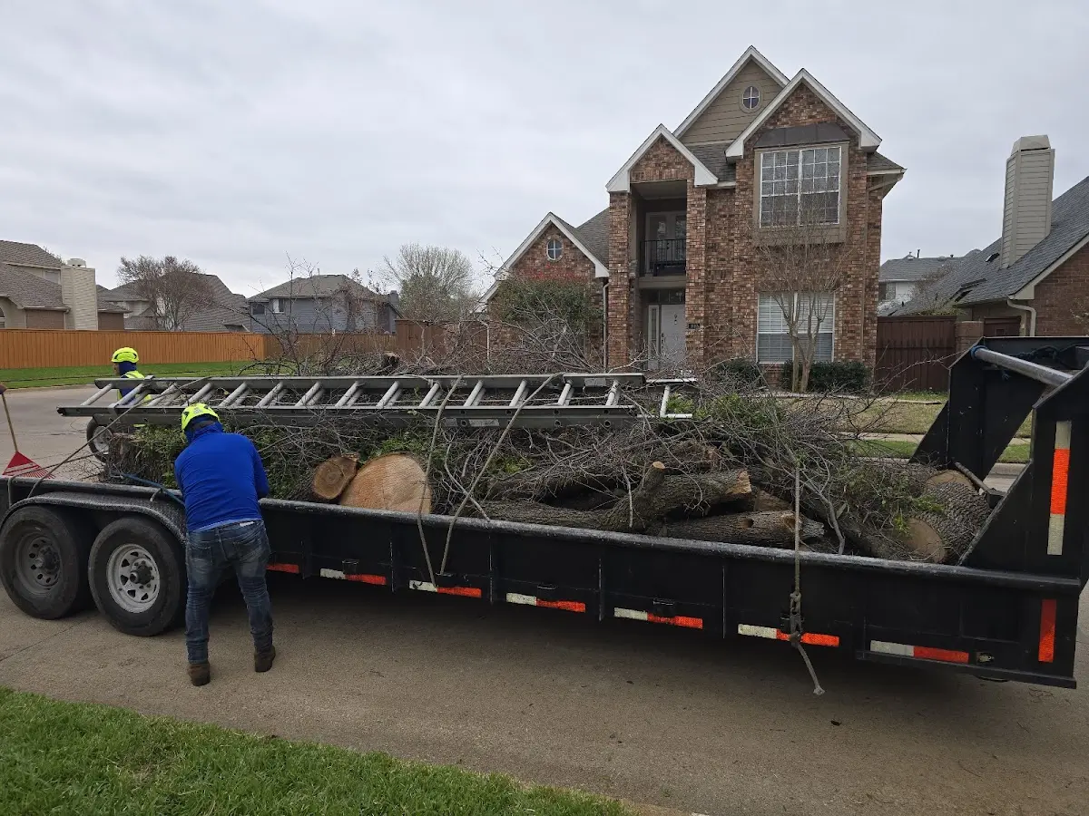 Expert Tree Pest Control with proper safety equipment in Upland
